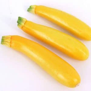 courge-ete-zucchini-jaune