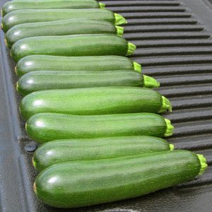 courge-ete-zucchini-vert