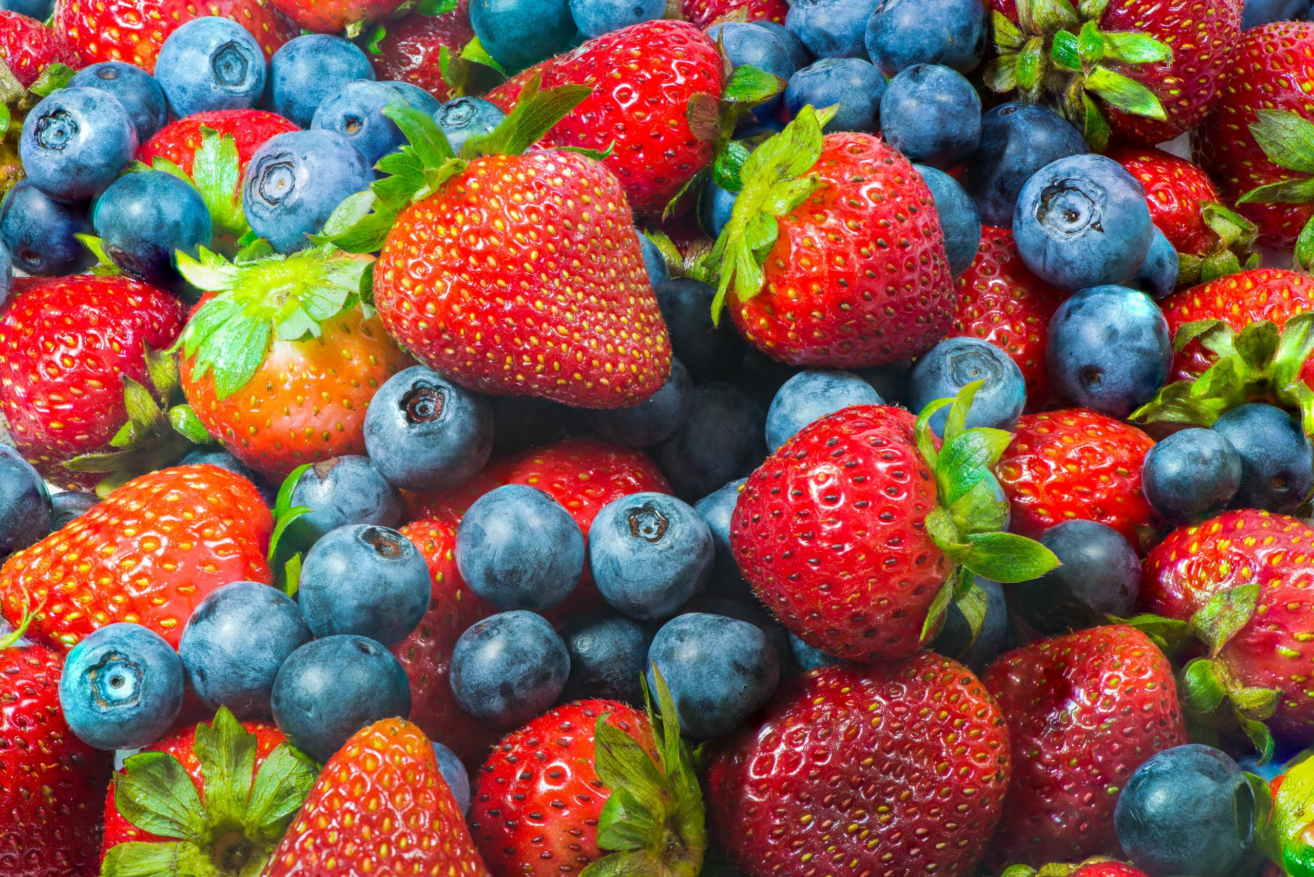 Cultiver les petits fruits – les fraises