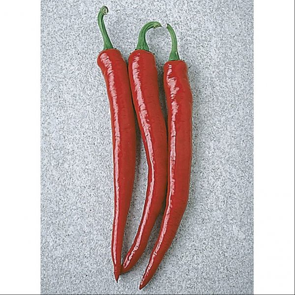 piment-fort-cayenne