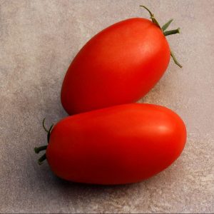 tomate-italienne-supremo