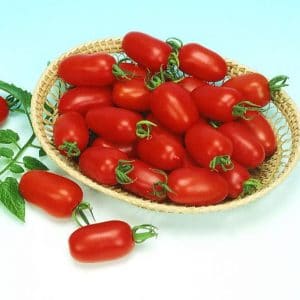 tomate-raisin-juliet