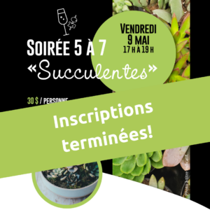 5a7 succulentes