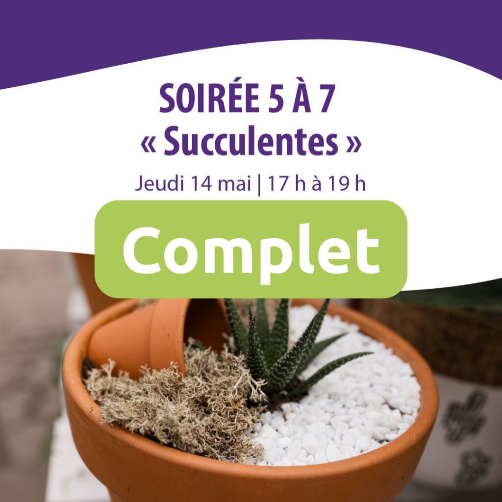 5a7 succulentes-complet