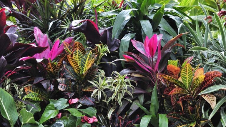 tropicales-dans-ses-arrangements-floraux