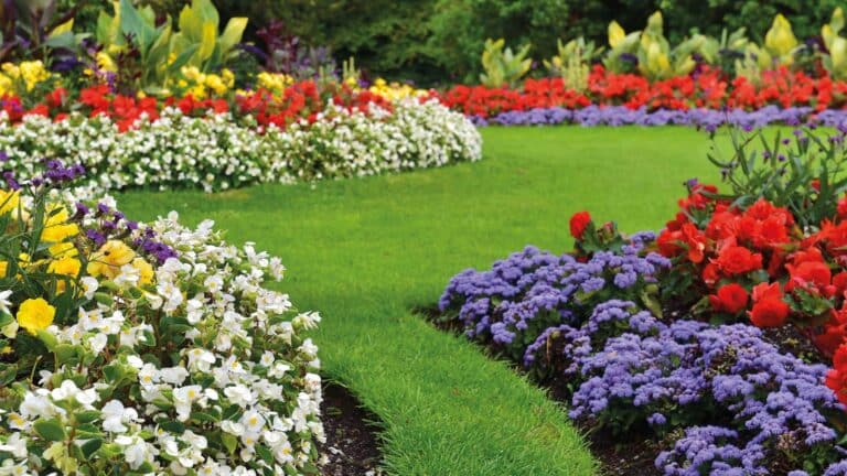 un-ete-completement-fleuri