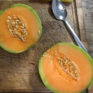 semences-ferme-cooperative-tourne-sol-melon-oka