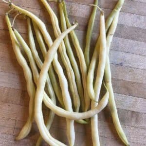 semences-ferme-cooperative-tourne-sol-monte-gusto-yellow-pole-bean