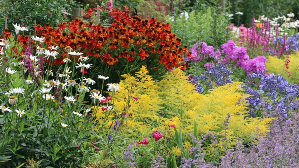 vivaces-facile-pour-votre-jardin