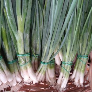 oignons-a-botteler-parade