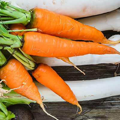 carottes