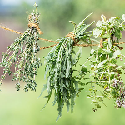 fines-herbes-deshydratees