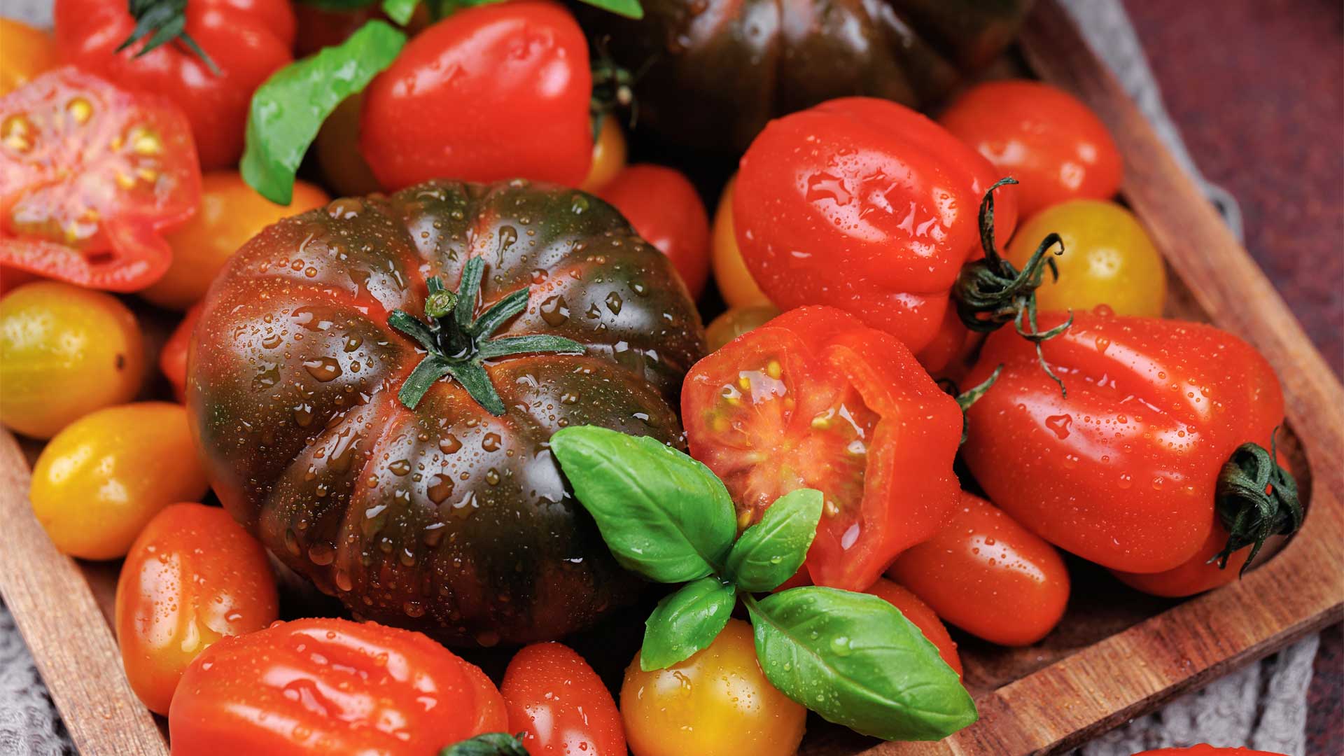 choisir-la-bonne-tomate-a-cultiver-au-potager