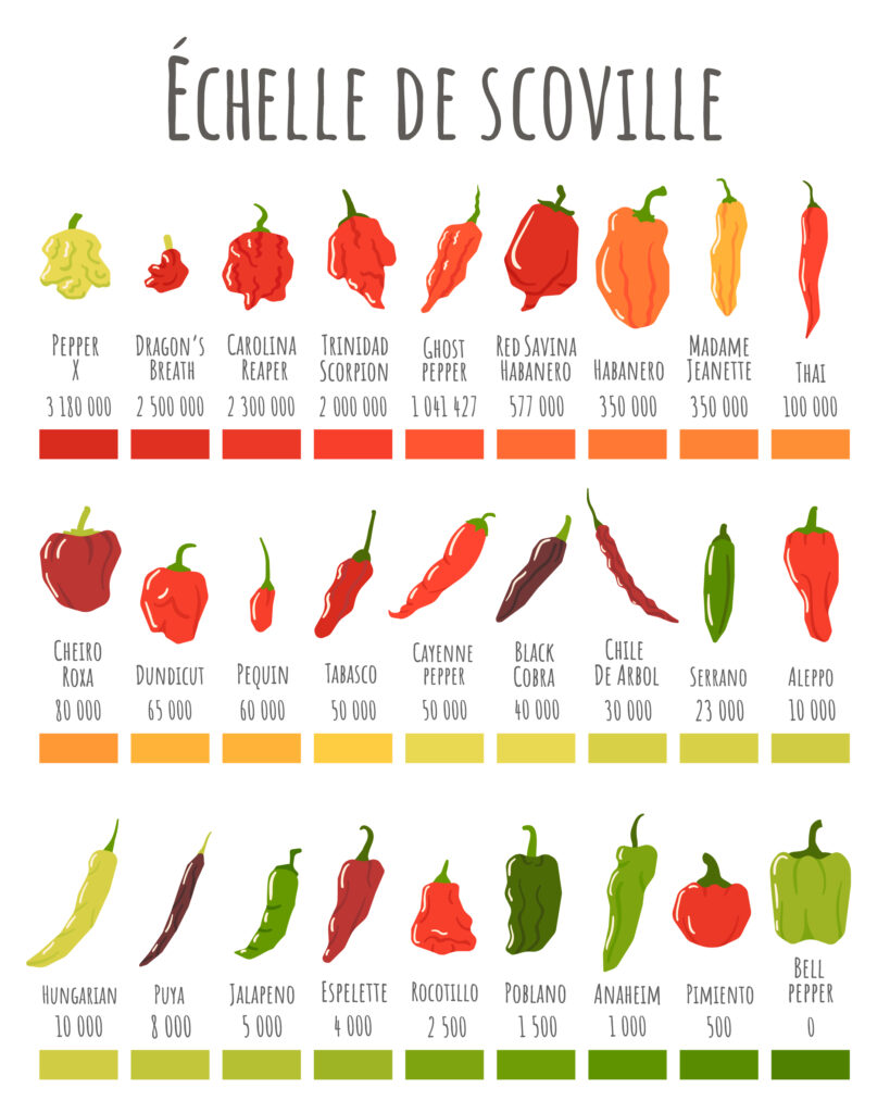 echelle-scoville