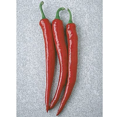 piment-fort-cayenne